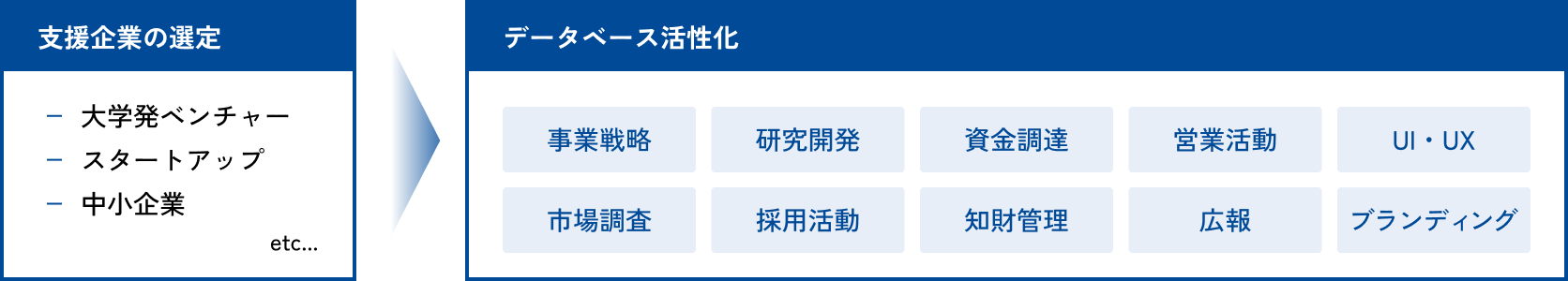 企業選定は大学発ベンチャー、スタートアップ、地場中小企業などから選定する。要件定義の一例としては事業戦略、研究開発、資金調達、営業活動、UI・UX、市場調査、採用活動、知財管理、広報、ブランディングが挙げられる
